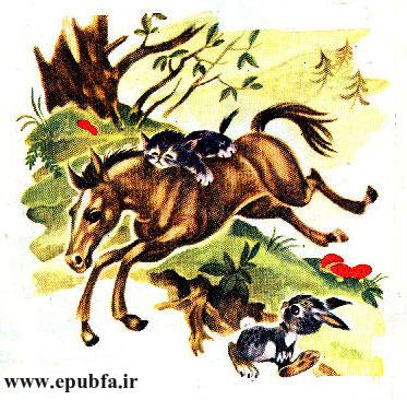 قصه کودکانه کرهاسب کوچولوی بامزه - محصول ایپابفا - ارشیو قصه و داستان کودکانه